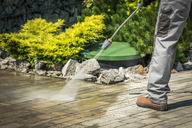 Best Dumpster Area Cleaning  in Sells, AZ