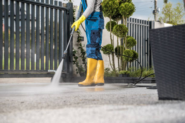 Best Driveway Pressure Washing  in Sells, AZ